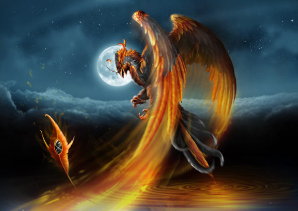 The Phoenix Bird: Mythical Creature ⋆ Mythical Realm
