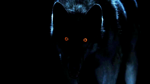 Werewolf Glowing Eyes
